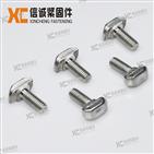 30T stainless steel T bolts
