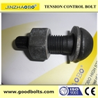A490M Tensile Control bolt 