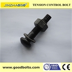 Tor-shear type high strength bolts for steel structure--TC Bolt A490M 