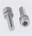 Carbon/Stainless Steel Din912 Hex Socket Bolt with Spring Washer