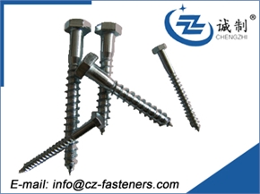 Hex head wood screw DIN571 with competitive price