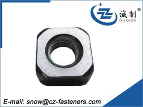 Square nut from Chengzhi Manufacturer
