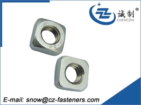Q195 square nut OEM with lower price