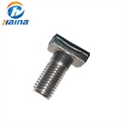 China Manufacturer Stainless Steel SS316 316L Halfen T Bolts