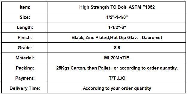 High Strength TC Bolt  ASTM F1852.png